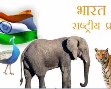 भारत के राष्ट्रीय प्रतीक चिन्ह-National Symbols of India in Hindi