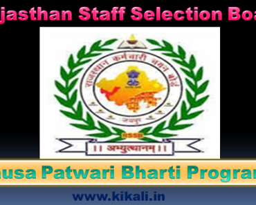 दौसा पटवारी भर्ती 2024 Dausa Patwari Bharti Program 2024
