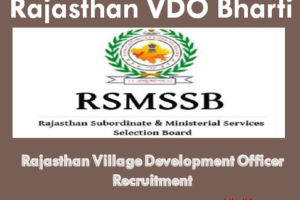 राजस्थान ग्राम विकास अधिकारी भर्ती 2023 Rajasthan VDO Bharti Program 2023