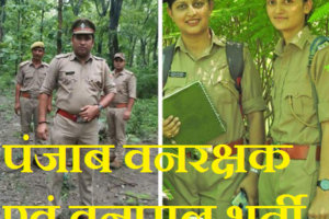 पंजाब वनरक्षक भर्ती 2024 Punjab Forest Guard Bharti 2024