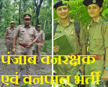 पंजाब वनरक्षक भर्ती 2023 Punjab Forest Guard Bharti 2023