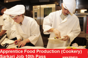 Food Production Job Vacancy 2024 10th Pass Food Production Cookery Sarkari Naukari 2024