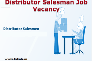 Distributor Salesman Job Vacancy 2024 Distributor & Salesman Sarkari Naukari 2024