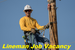 Lineman Job Vacancy 2024 8th Pass Lineman Sarkari Naukari 2024 Kikali In   Lineman Job Vacancy 300x198 