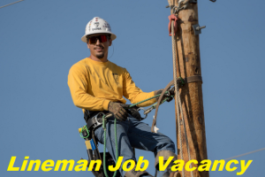 Lineman Job Vacancy 2023. 8th Pass Lineman Sarkari Naukari 2023-2024