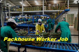 Packhouse Worker Job Vacancy 2024 8th Pass Packhouse Worker Sarkari Naukari 2024