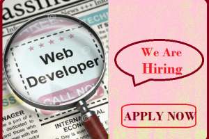 Web Developer job Vacancy 2023. 12th pass Web Developer Sarkari Naukari 2023-2024