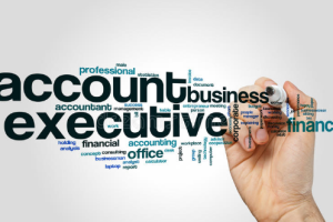 Accounts Executive Job Vacancy 2023. 12th pass Accounts Executive Sarkari Naukari 2023-2024