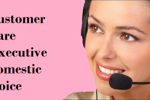 Customer Care Executive domestic Voice job Vacancy 2024 10th-Pass Customer Care Executive domestic Voice Sarkari Naukari 2024