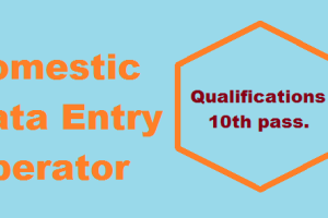 Domestic Data Entry Operator job Vacancy 2023. 10th Pass Data Entry Operator Sarkari Naukari 2023-2024