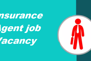 Insurance Agent job Vacancy 2023. 9th Pass Insurance Agent Sarkari Naukari 2023-2024