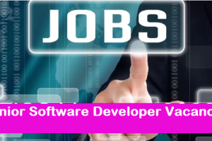 Junior Software Developer job Vacancy 2023. 10th pass JSD Sarkari Naukari 2023-2024