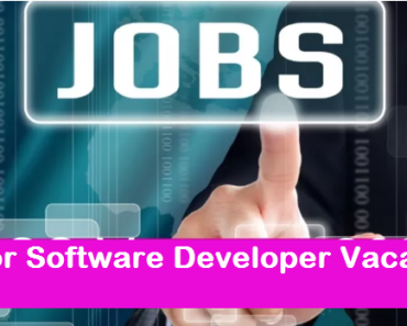 Junior Software Developer job Vacancy 2024 10th pass JSD Sarkari Naukari 2024