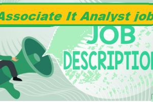 Associate It Analyst job Vacancy 2024 Graduate Associate It Analyst Sarkari Naukari 2024